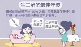 深圳二胎爆料事件最新,事件背后真相与争议再掀波澜