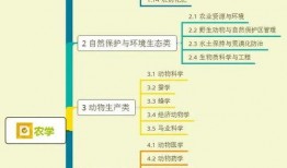 电光耗子爆料视频大全集,揭秘娱乐圈幕后真相