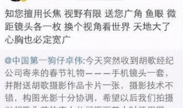 胡歌卓伟最新爆料,揭秘娱乐圈不为人知的真相