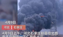 济宁嘉祥爆料事件视频曝光,视频曝光揭示惊人真相