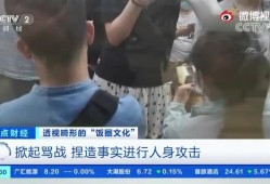 羊村饭圈最新爆料事件视频,最新爆料视频揭露惊人内幕