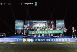 江苏苏宁最新爆料,揭秘球队备战新赛季的神秘计划