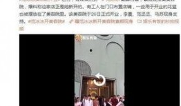 最新美容爆料视频,最新爆料视频深度解析